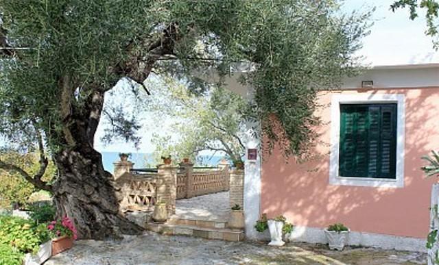 Tonias Houses - Thea House And Vrachos Attic Appartment Alikanás Rom bilde